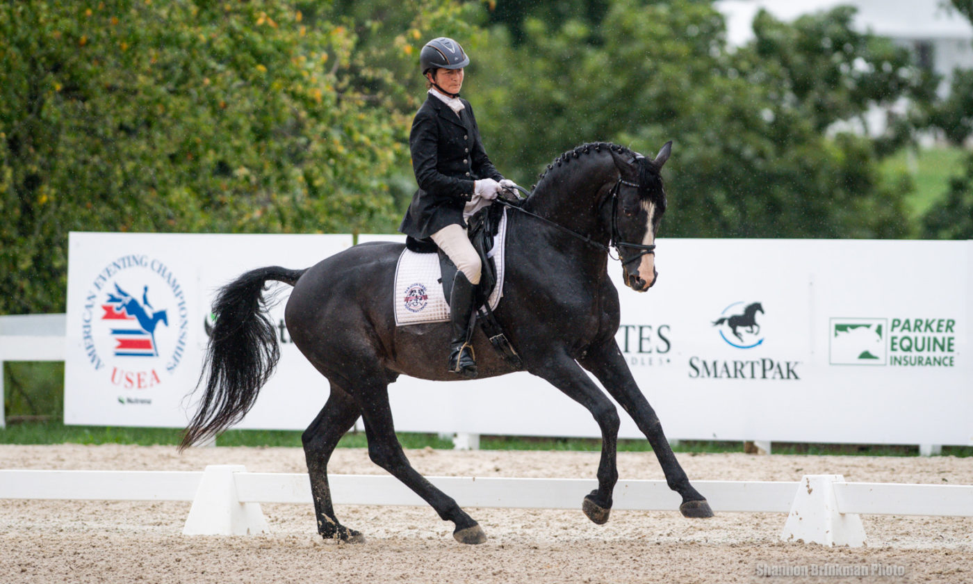 2021 AEC Debuts With Intermediate And Preliminary Dressage