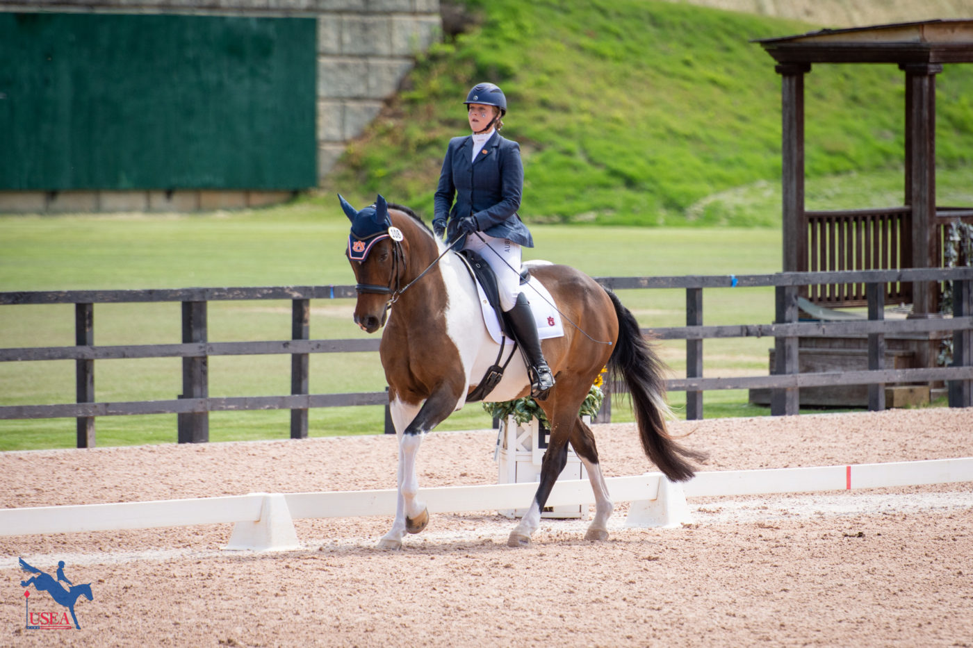 Suzanne Hillhouse and Kalisto Pete score a 29.70 to help the Auburn Tigers secure the top spot after dressage. USEA/Shelby Allen photo
