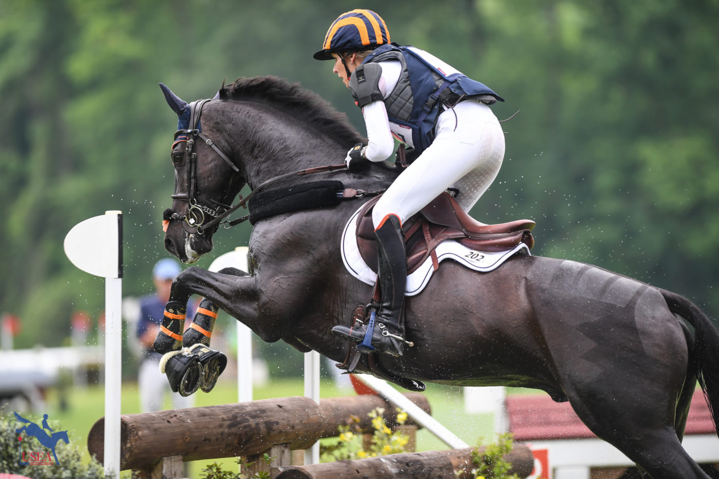 Cooley Nutcracker had no problem with the skinny out of the water in the CCI4*-L with Liz Halliday-Sharp. USEA/Lindsay Berreth photo