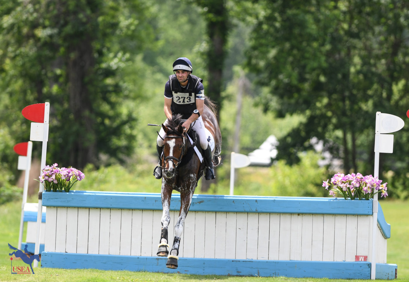 Chris Talley and Gina in the CCI3*-S. USEA/Lindsay Berreth photo