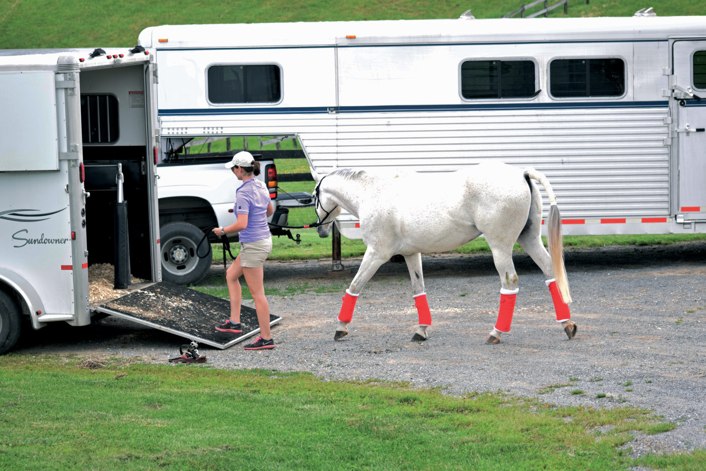 Travel Tips for a Healthy and Happy Horse