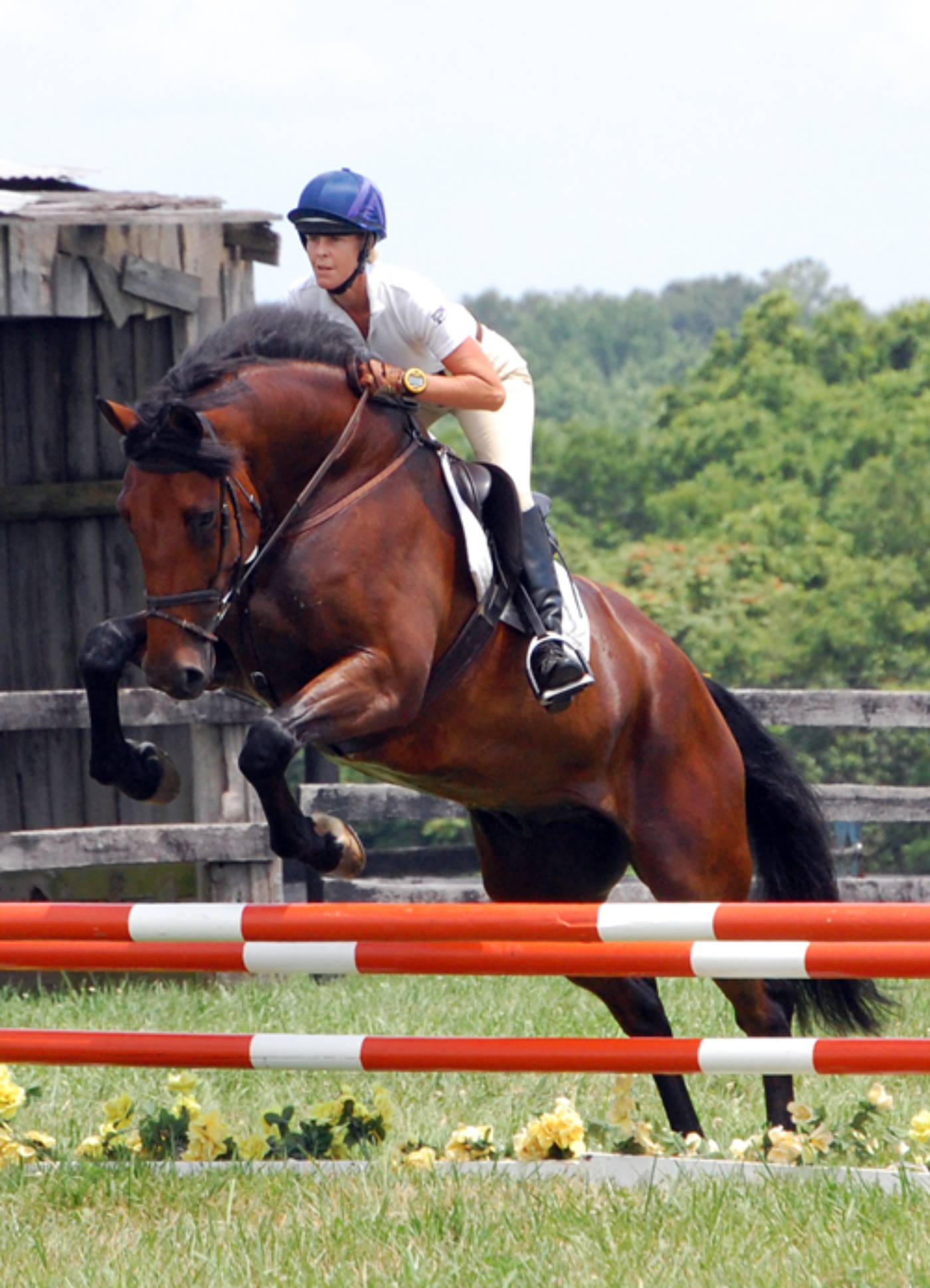 Victoria Jessop piloted Marqo to a win in the Open Beginner Novice-B division.