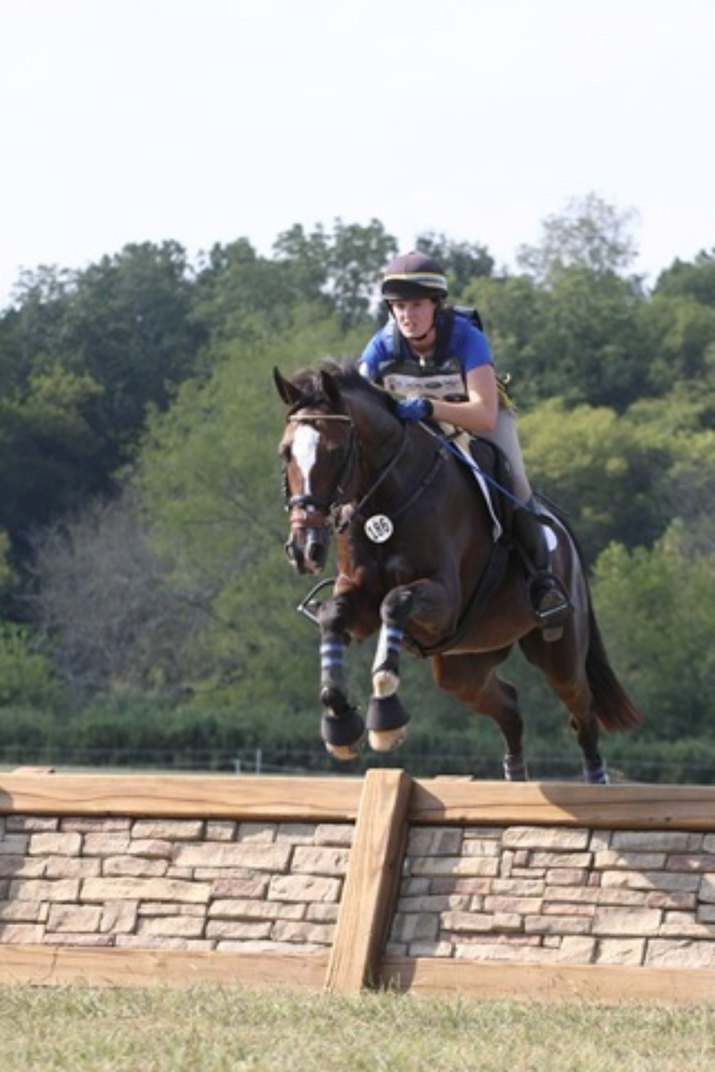 2010 AEC: Beginner Novice Horse Cross-Country - USEA, United States ...