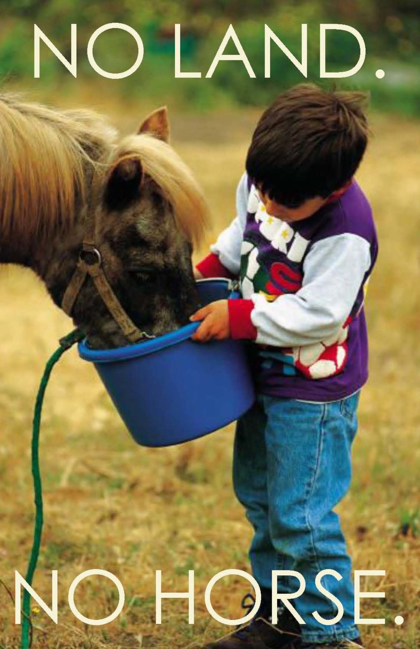 Мальчики пои. Кормление животных. Лошадь для детей. Человек кормит лошадь. Кормление лошадей.