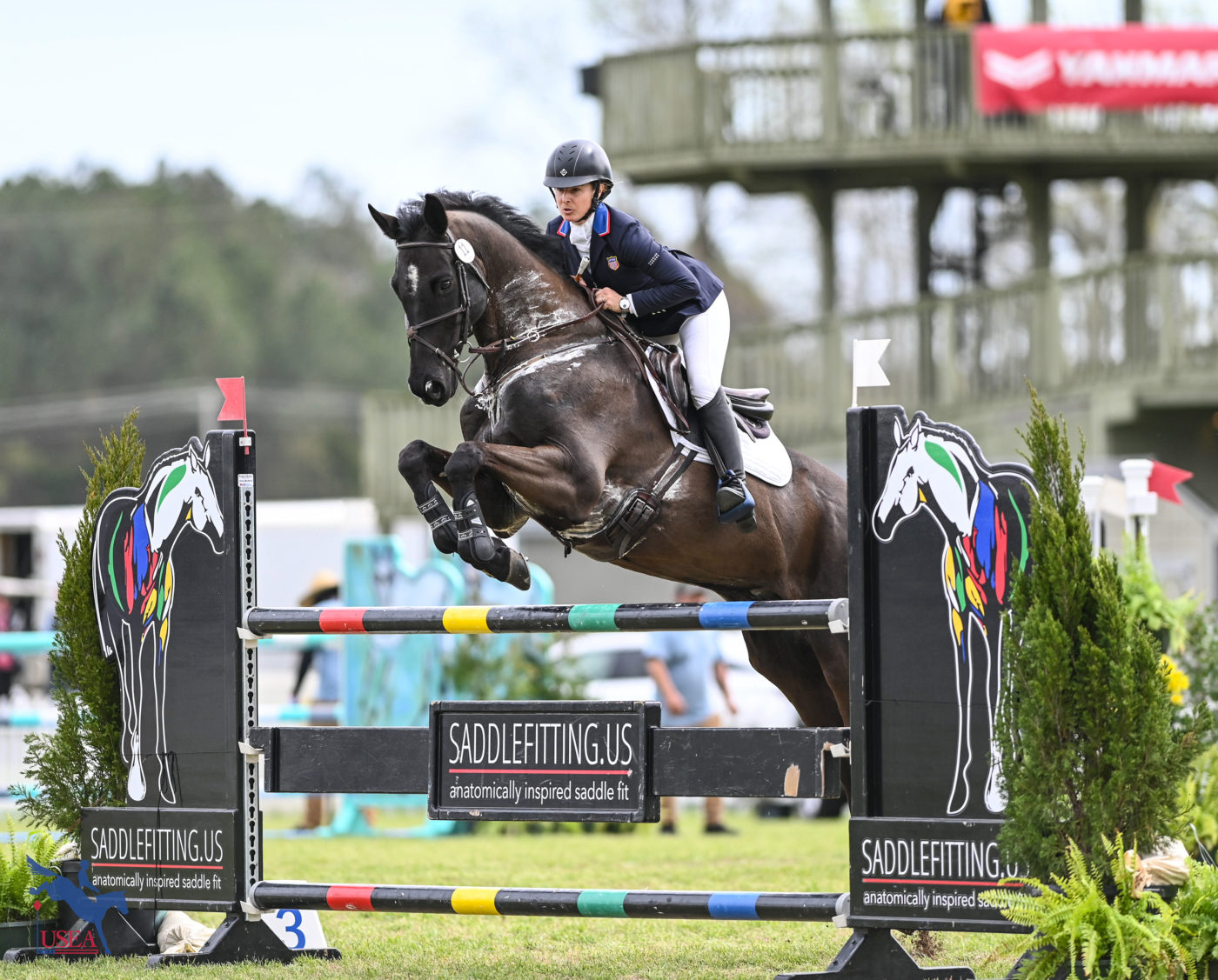 Sitting in sixth place are Sydney Elliott and QC Diamantaire. USEA/Lindsay Berreth photo