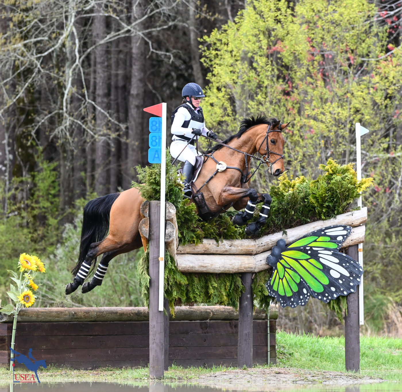 Canadian rider Lindsay Traisnel finished in ninth with Bacyrouge. USEA/Lindsay Berreth photo