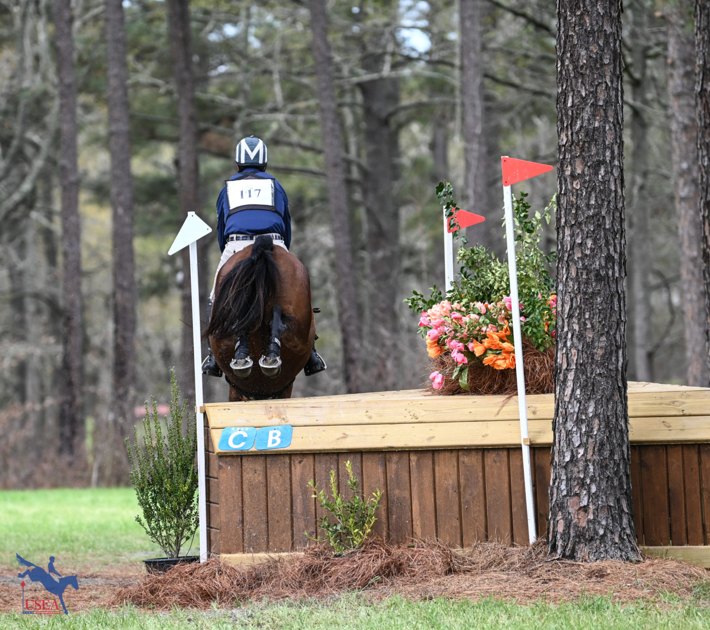 Andrew McConnon jumped the Advanced corner out of the water with Wakita 54. USEA/Lindsay Berreth photo