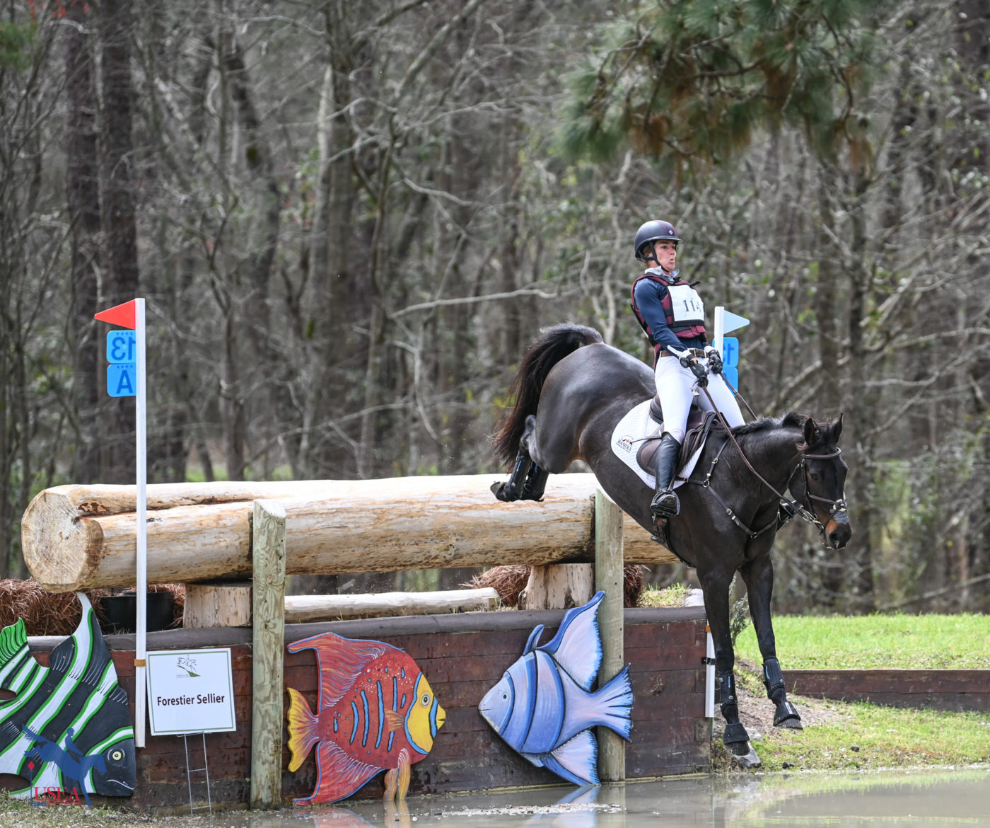 Ariel Grald piloted Cabelle around the Advanced cross-country track. USEA/Lindsay Berreth photo