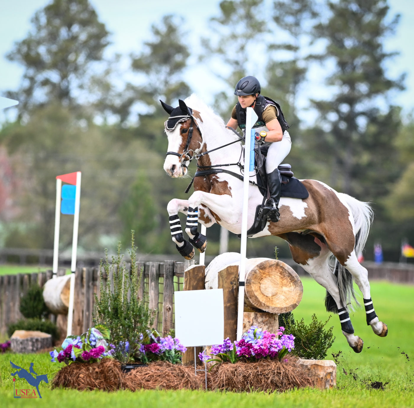 The cute pinto Reg The Ledge jumped in the advanced with Tracey Biennemann. USEA/Lindsay Berreth photo