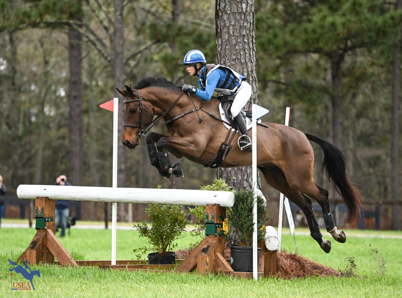 Alex Martini and Poynstown Jaguar looked picture-perfect in the Intermediate. USEA/Lindsay Berreth photo