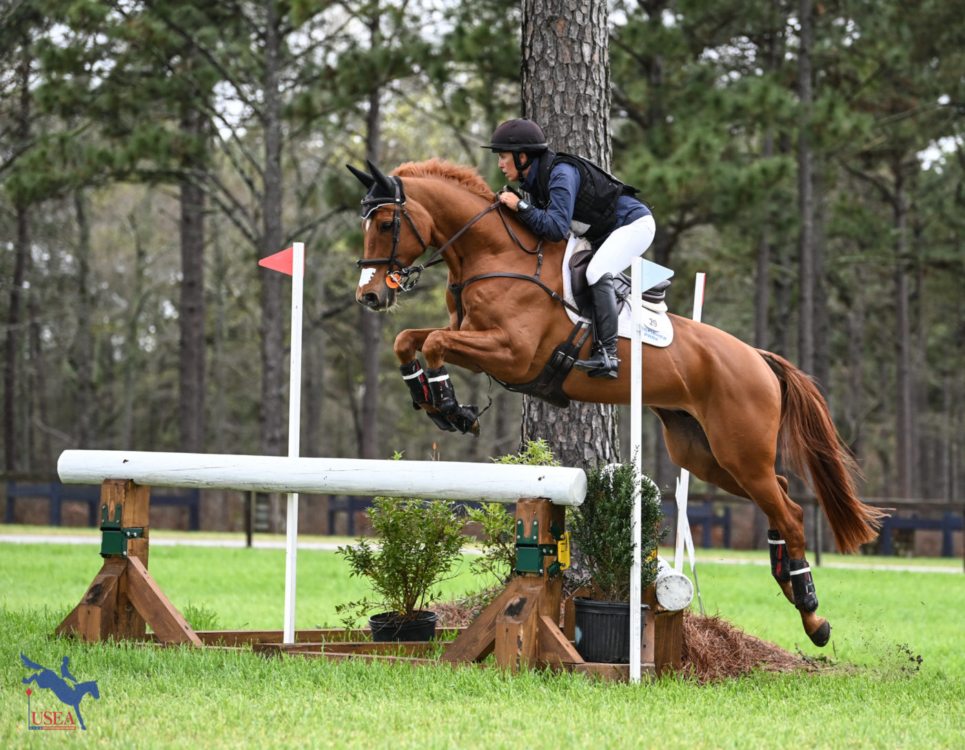 Dana Cooke and FE Quattro in the CCI3*-S. The pair ended the weekend in tenth. USEA/Lindsay Berreth photo