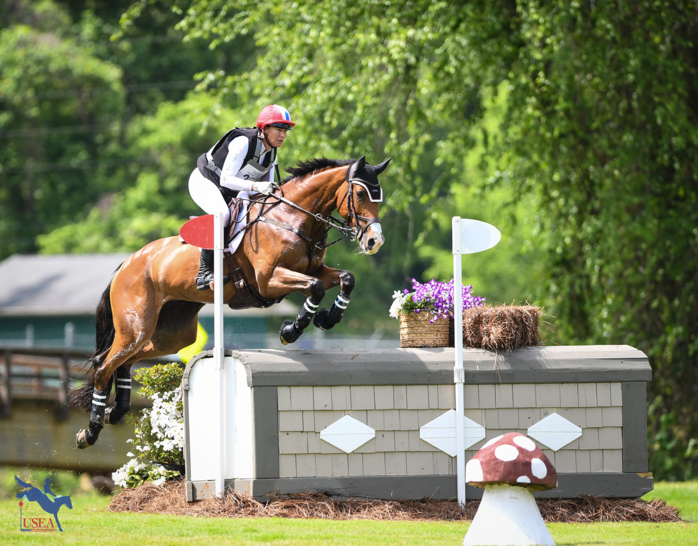 Tamie Smith and Solaguayre California jumped to third in the CCI4*-S. USEA/Lindsay Berreth photo