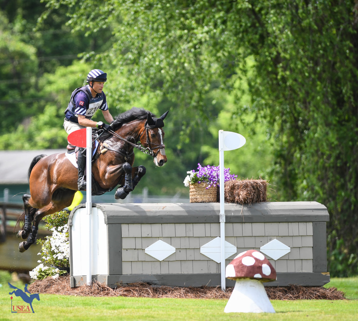 Luke 140 finished fourth in the CCI4*-S with Boyd Martin. USEA/Lindsay Berreth photo