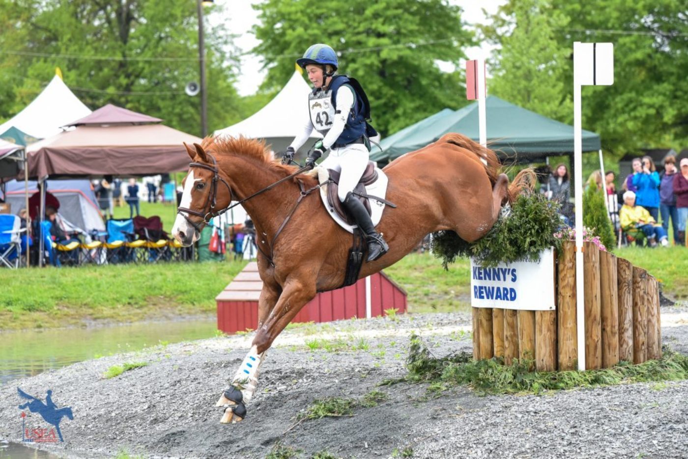 CCI*L Debuts at Virginia Horse Trials International; USEF CCI2