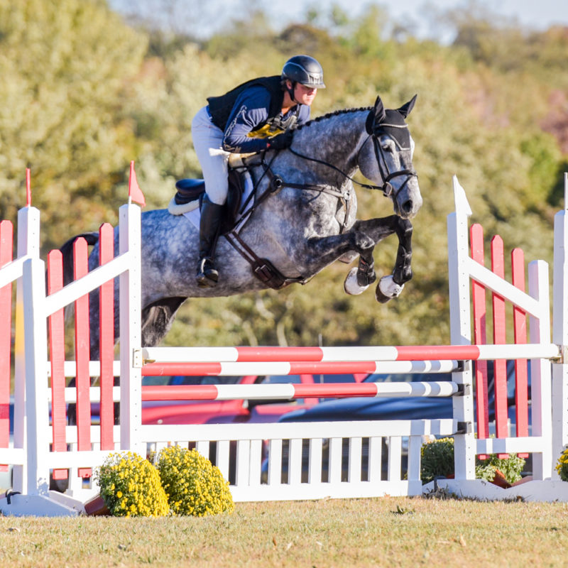 Spectators were able to get up close for a perfect shot on the cross-country course. USEA/ Meagan DeLisle photo.