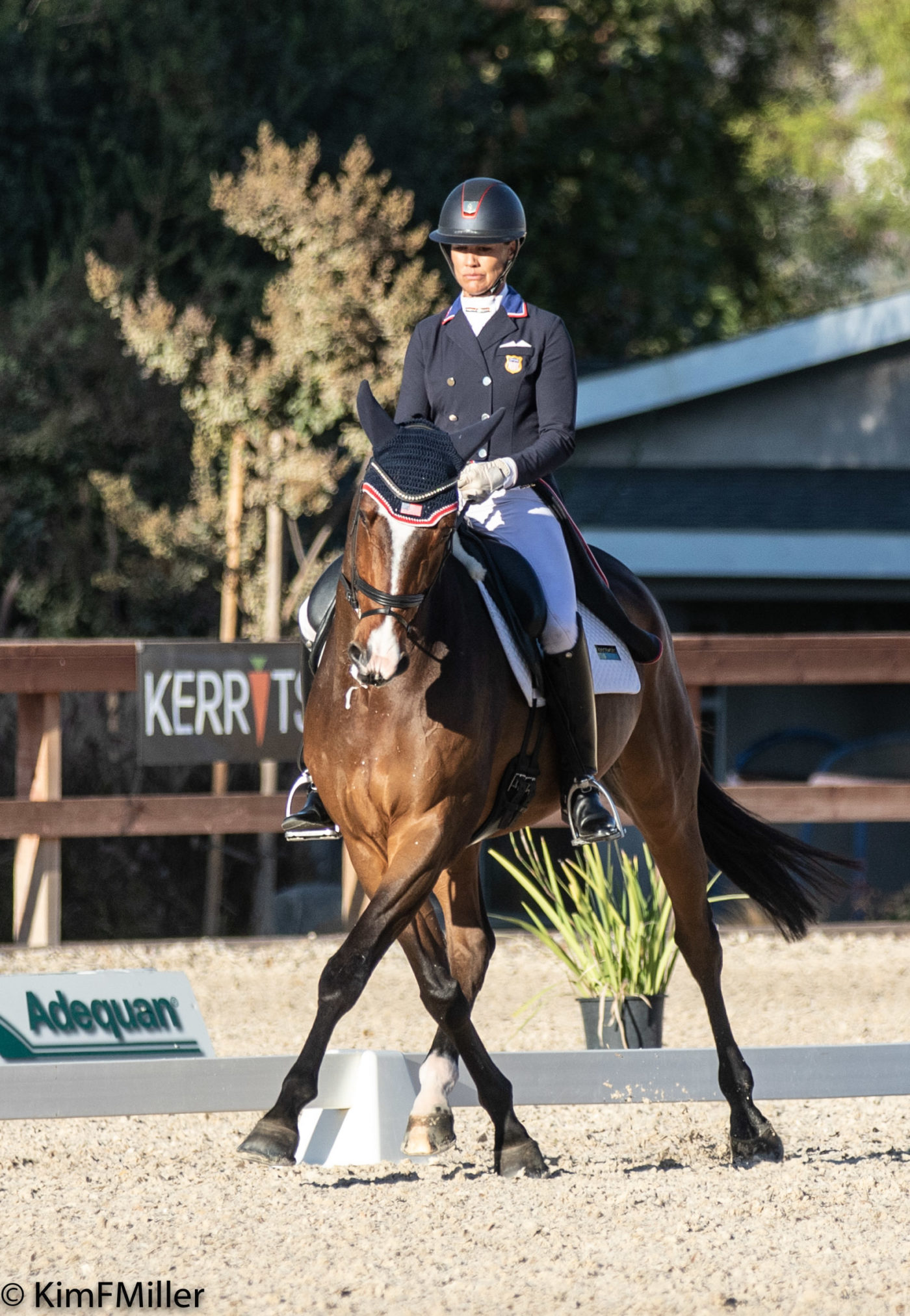 CCI4*-L - 3rd - Tamra Smith and Passepartout - 32.0
