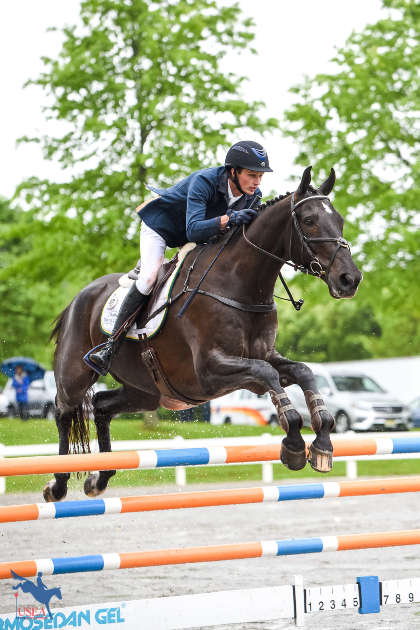 CCI4*-L - 2nd - Tamie Smith and Passepartout