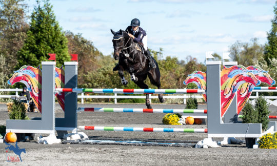Jumping through the Trotter. USEA/Leslie Mintz Photo.