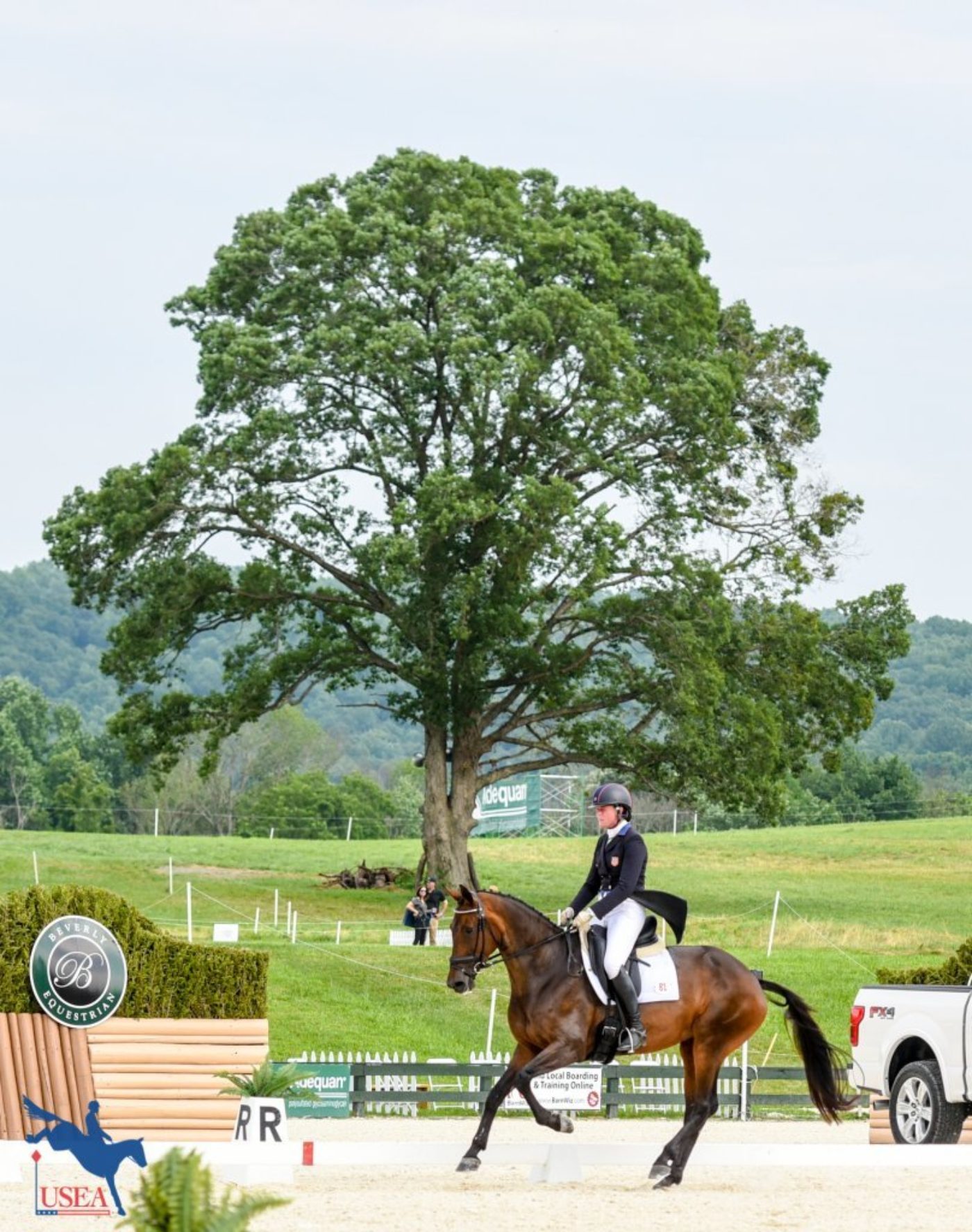The famous Great Meadow tree makes the perfect backdrop to Lauren Kieffer and Veronica's test. USEA/Leslie Mintz Photo.