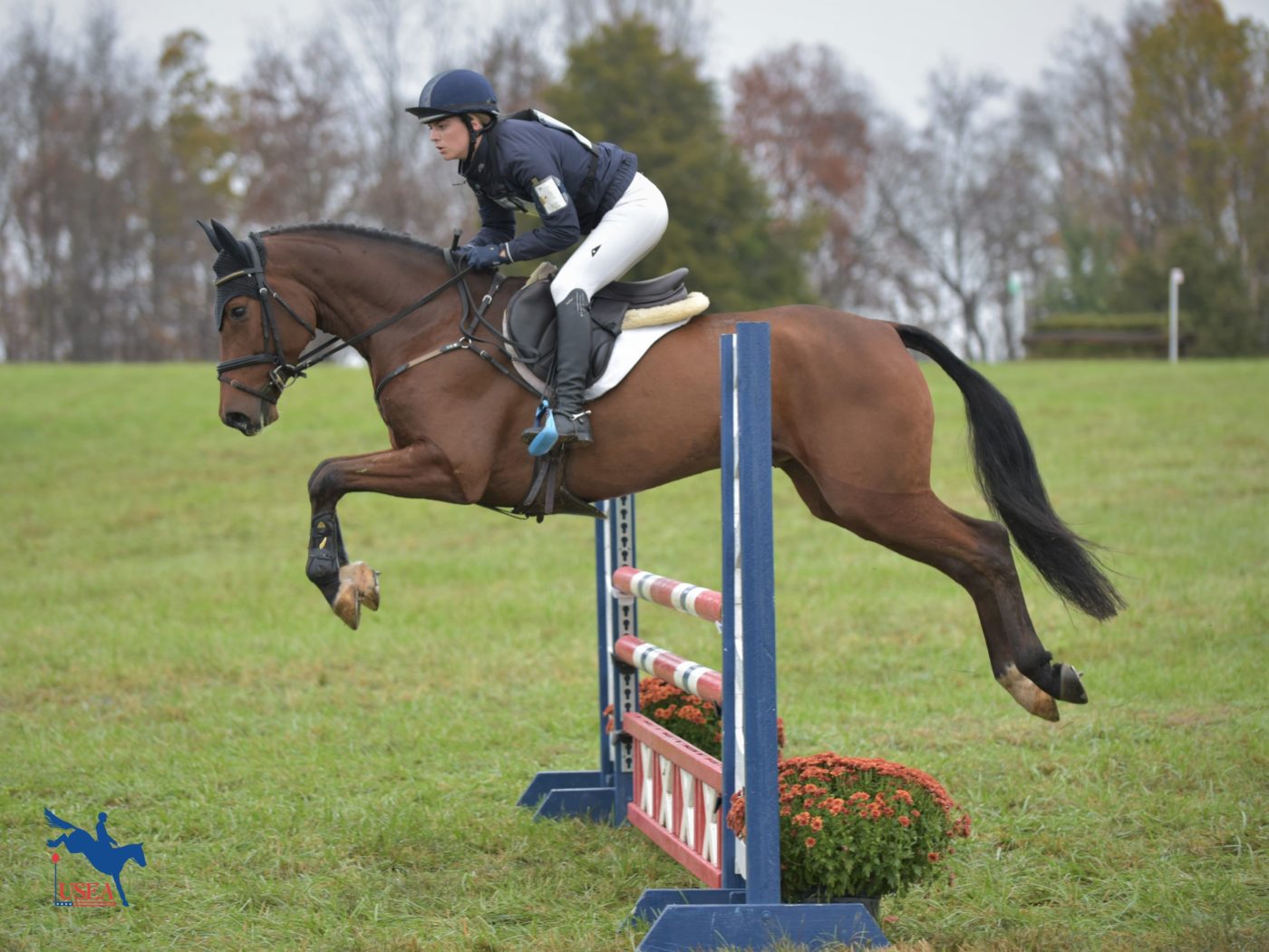 2nd - Colleen Rutledge and Covert Rights - 31.5