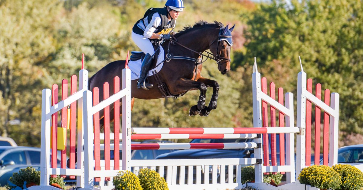 CCI3*-S 3rd - Buck Davidson and Electric Lux - 32.2